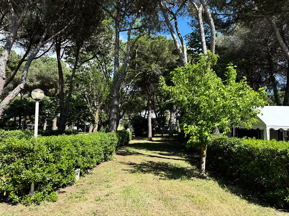 Camping Costa d'Argento Village Club .