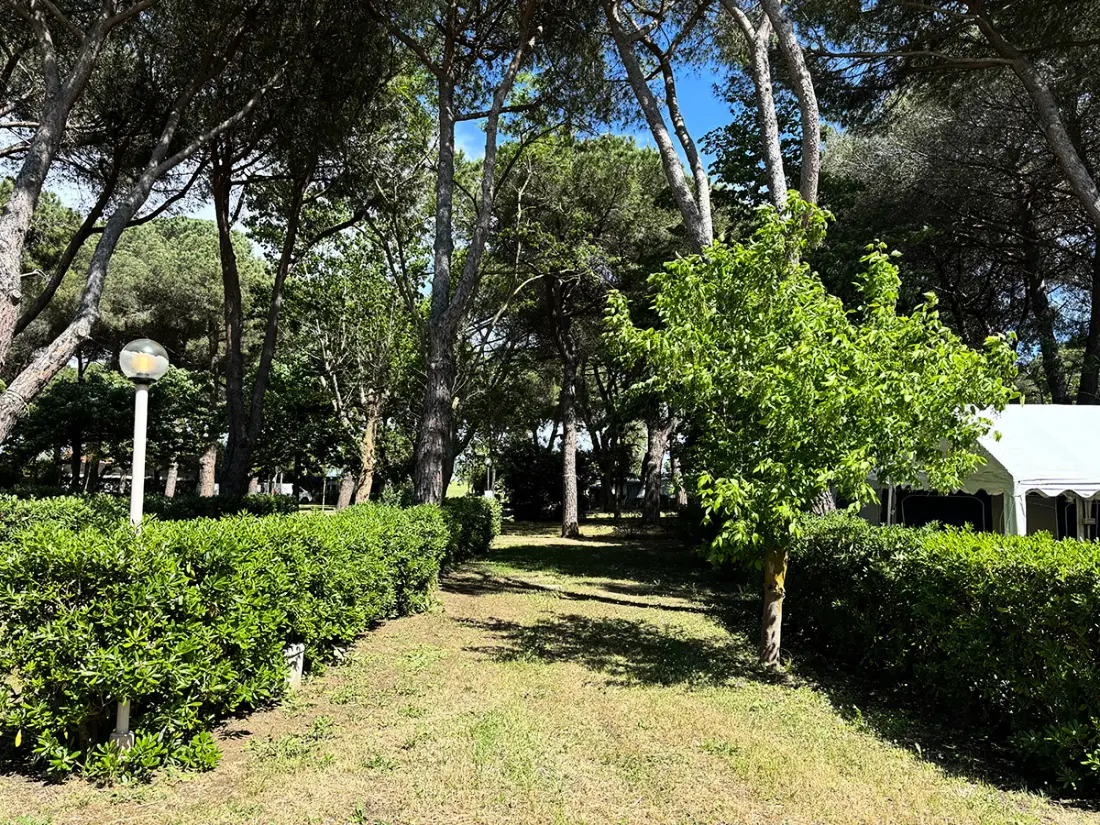 Campingpladser Costa d'Argento I nærheden af Village Club Tæt på