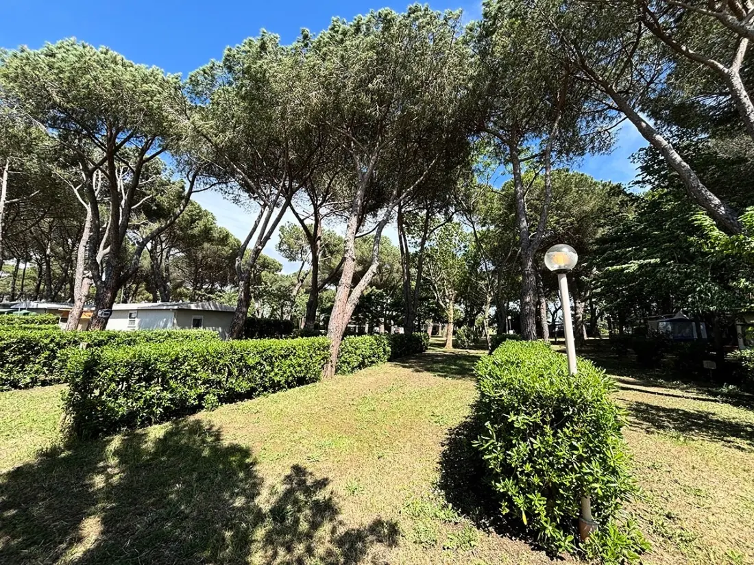 Campingpladser Costa d'Argento I nærheden af Village Club Tæt på