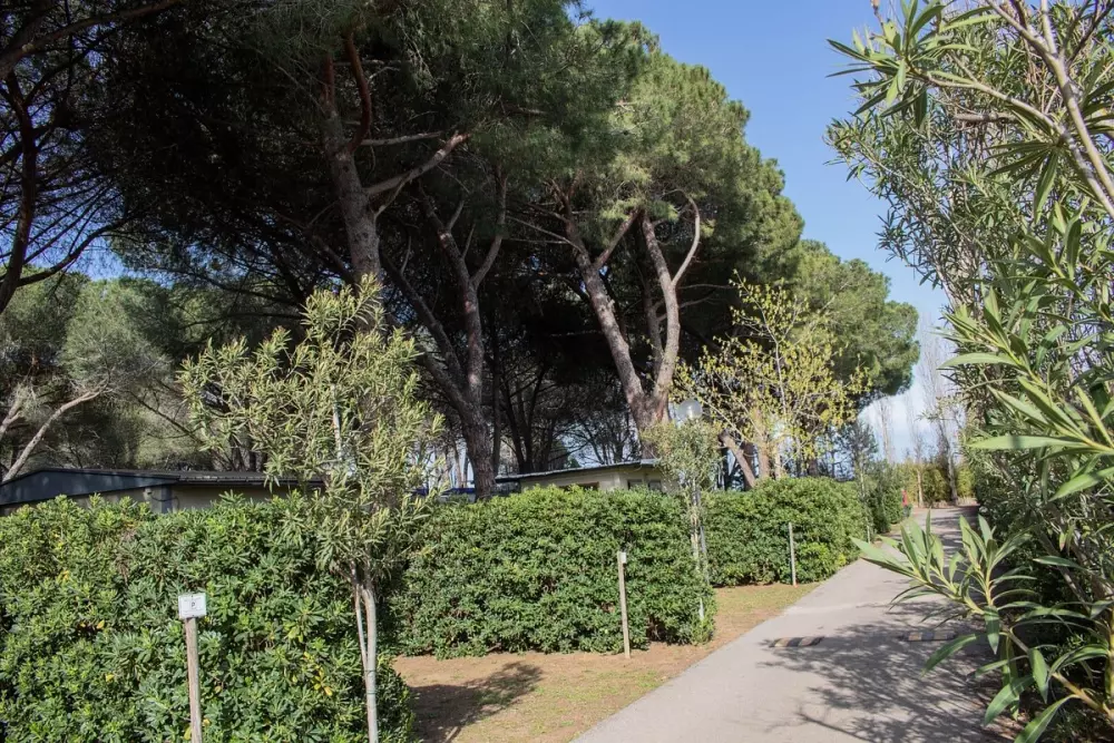 Camping Costa d'Argento Village Club .