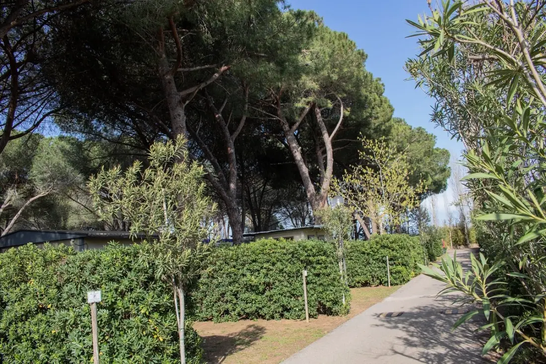 Campingpladser Costa d'Argento I nærheden af Village Club Tæt på