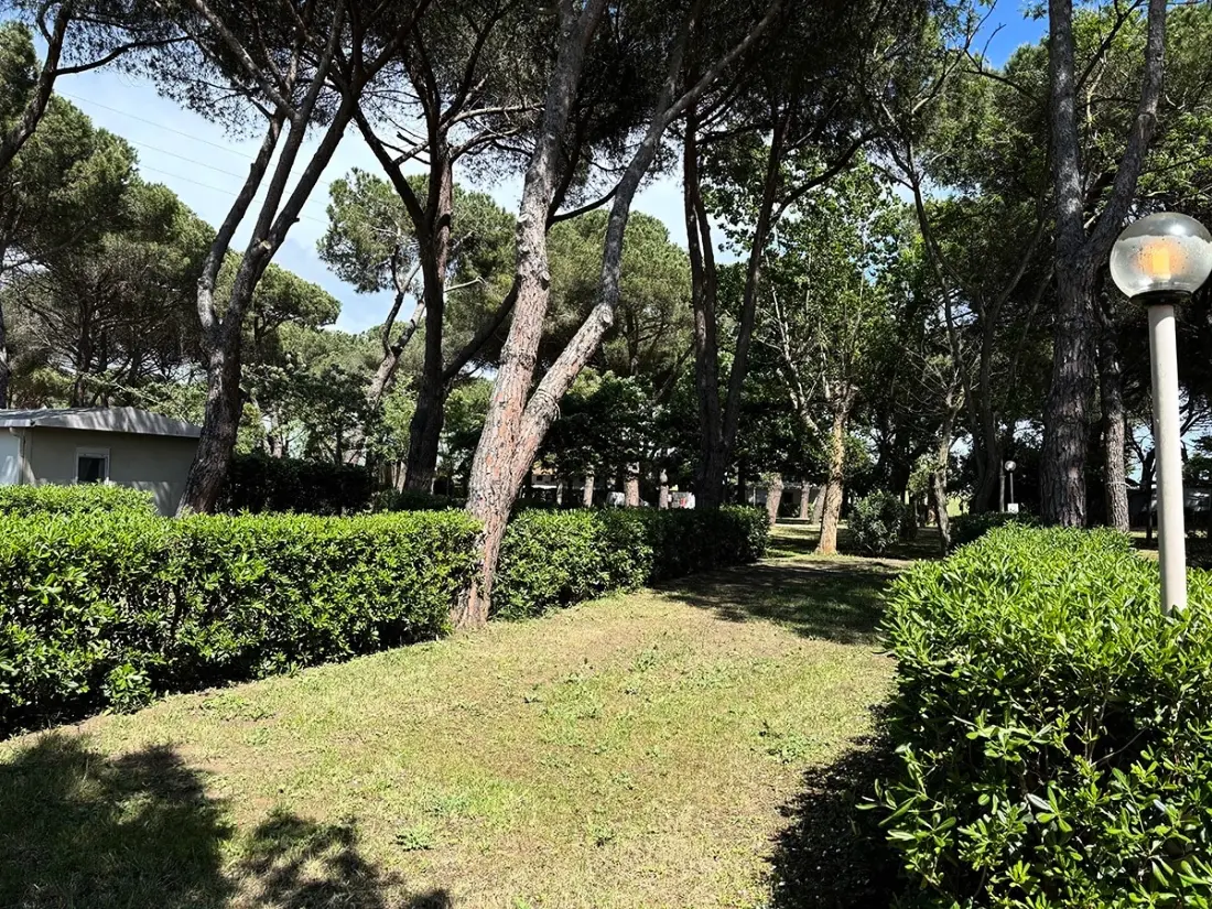 Campingpladser Costa d'Argento I nærheden af Village Club Tæt på