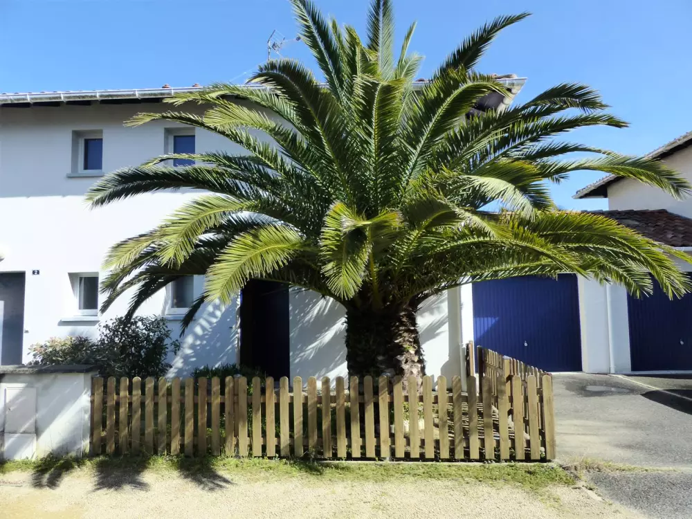 Residentie Le Brigantine