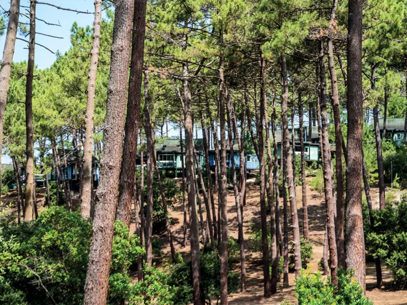 Résidence de Plein Air Les Cavales