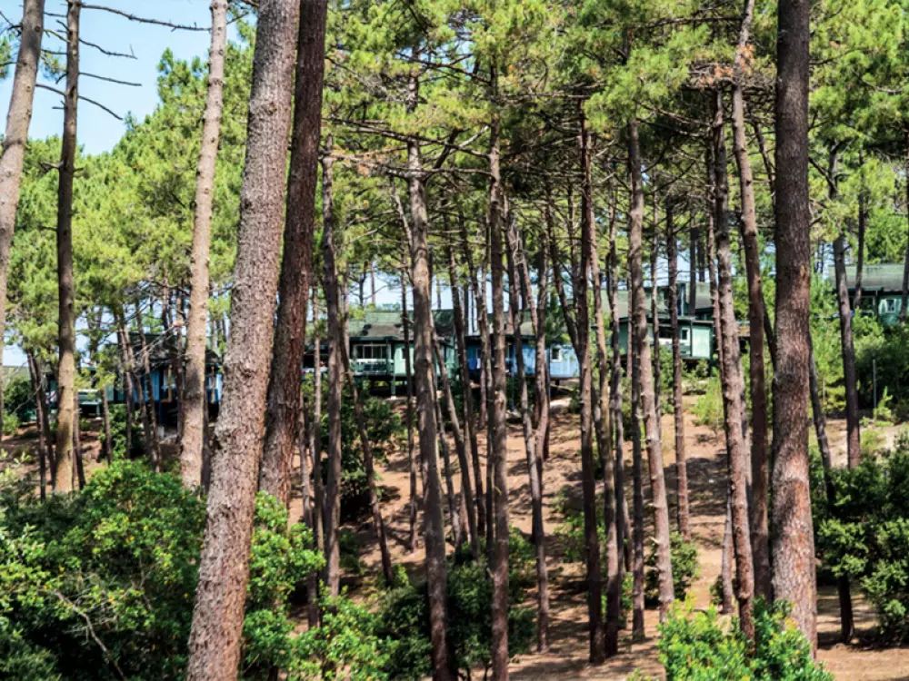 Résidence de Plein Air Les Cavales