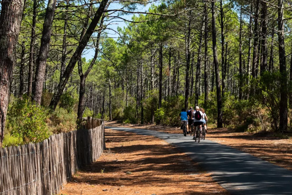 Résidence de Plein Air Les Sentes