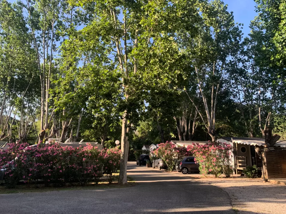 Camping les Fouguières 3 Stars★★★