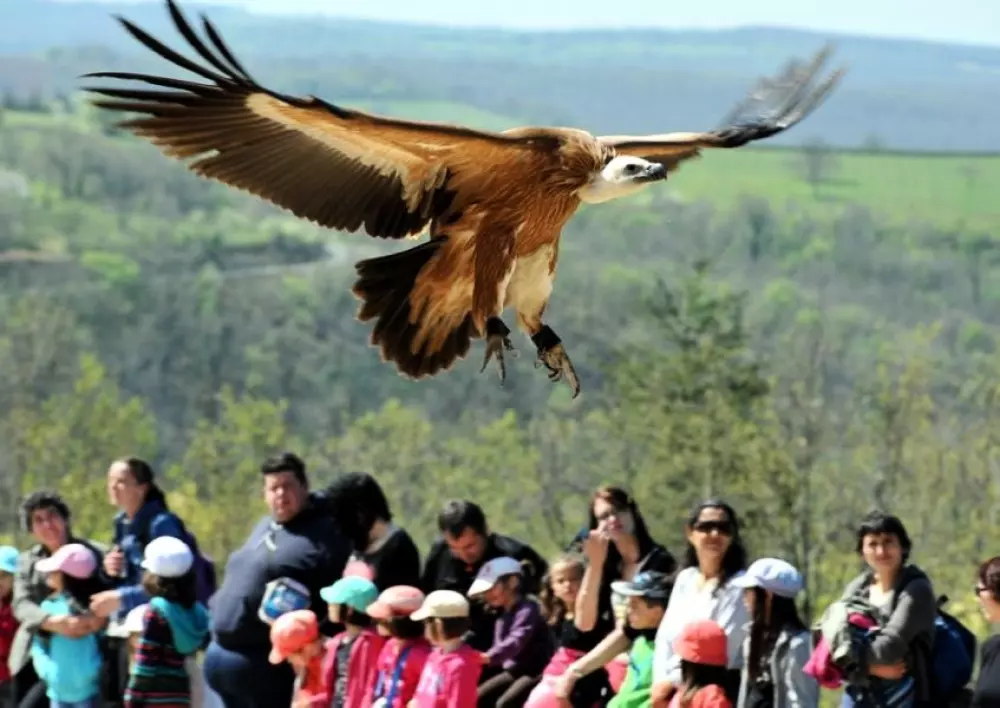 Camping l'Eau Vive 3 Sterne★★★