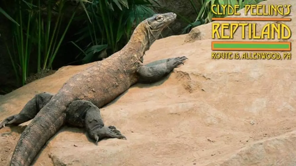 Camping l'Eau Vive 3 Sterne★★★