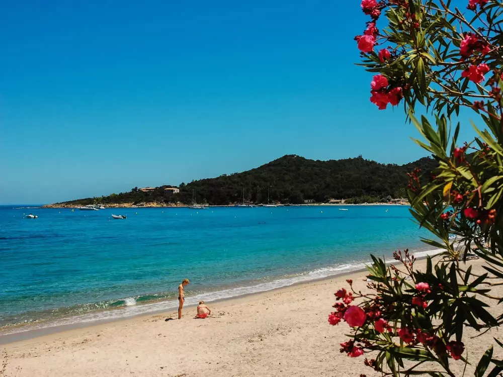 Campsite Torraccia 31 Csillagok★ - 2A