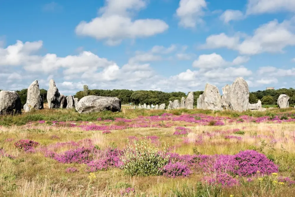 Camping Les Bruyères3 Sterren★★★