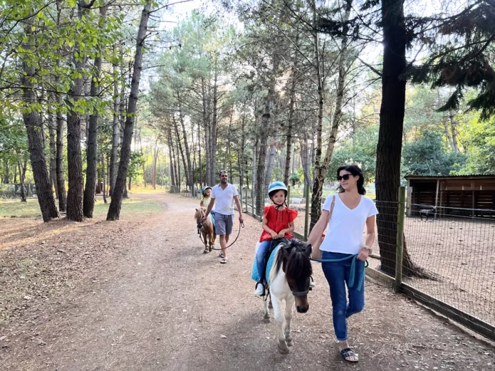 Campsite Les Bruyères4 Stars★★★★