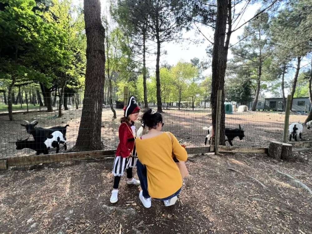 Campsite Les Bruyères4 Stars★★★★