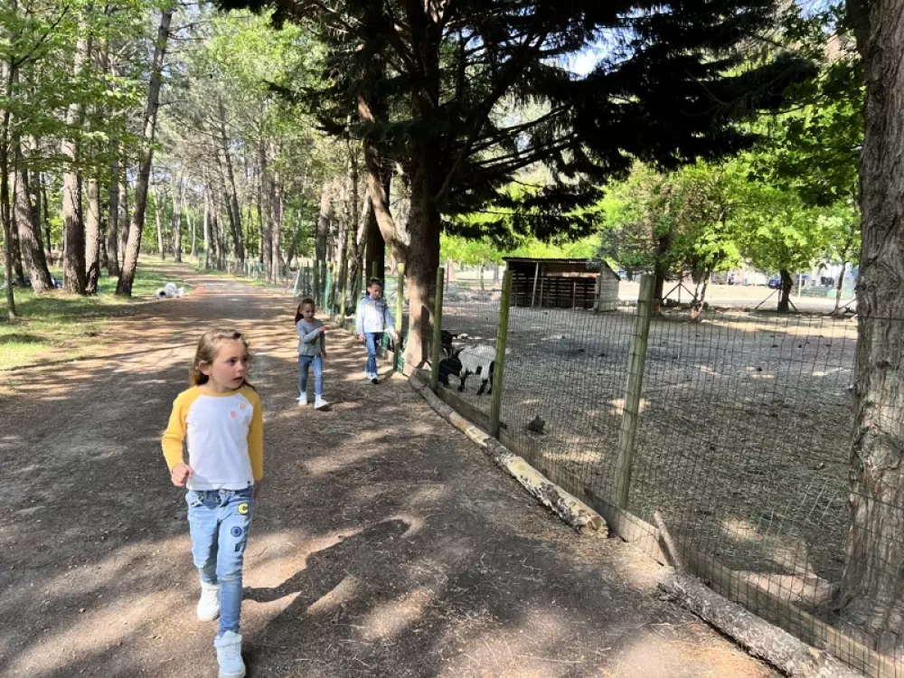 Campsite Les Bruyères4 Stars★★★★