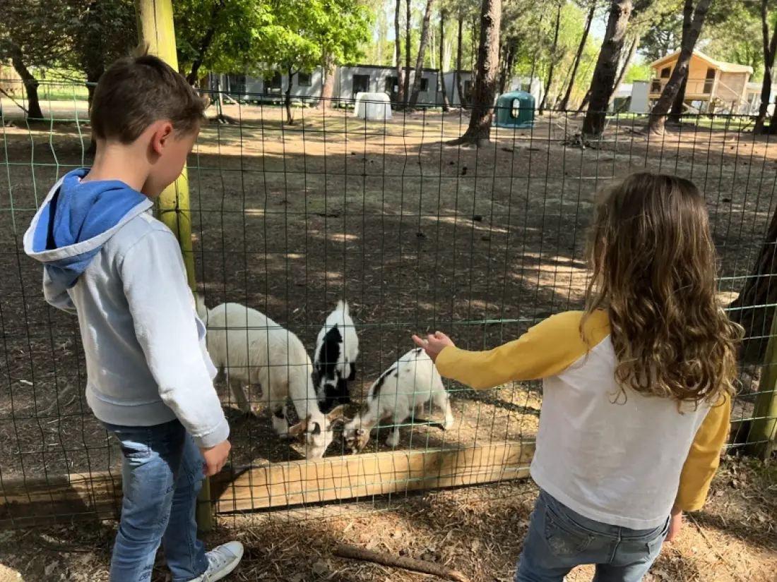 Campeggio Les Bruyères6 Stelle★★★★★★