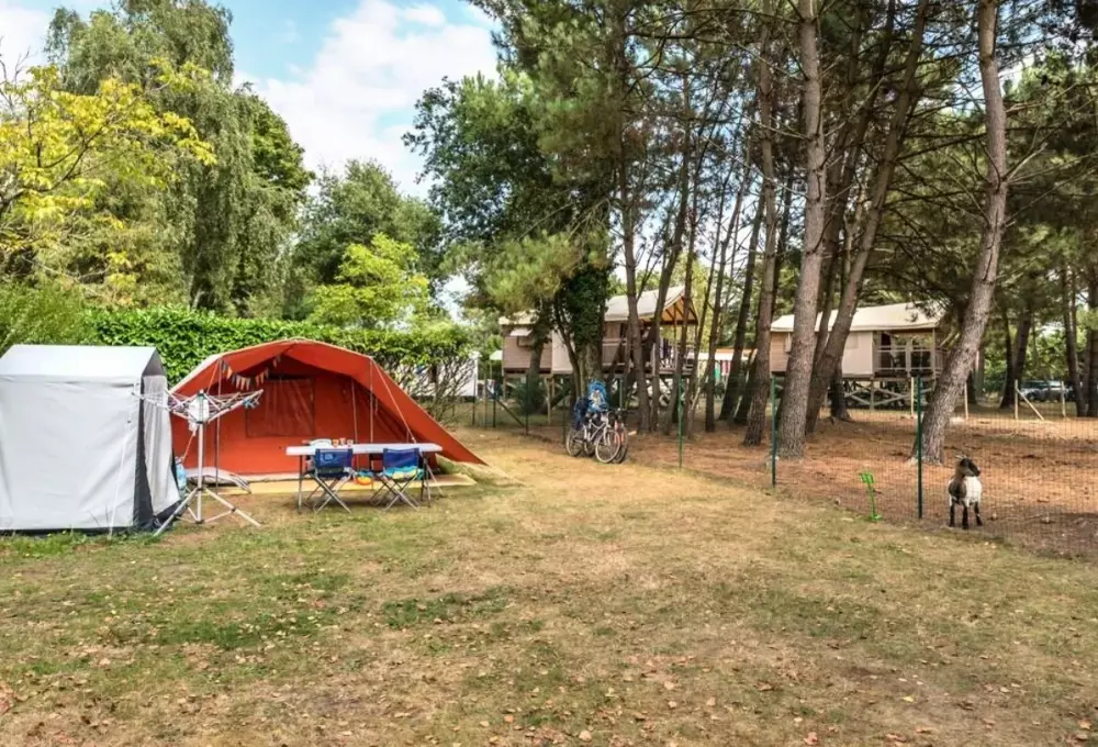 Campsite Les Bruyères4 Stars★★★★