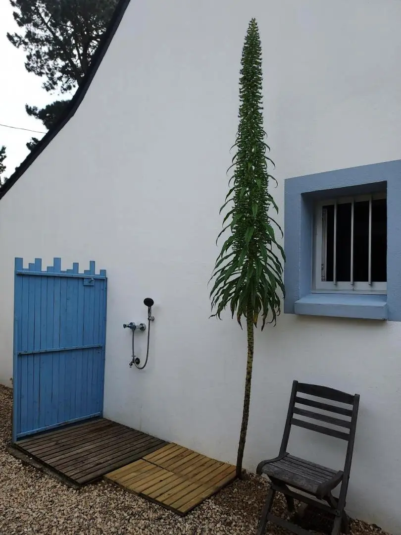 Villa Kormoran in Frankreich 3 Ohren