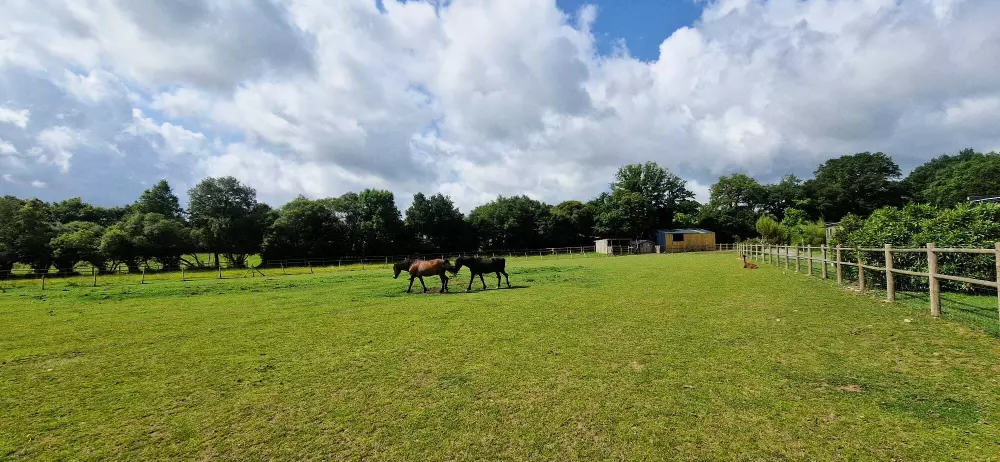 Camping Domaine de Kervallon 4 étoiles★★★★