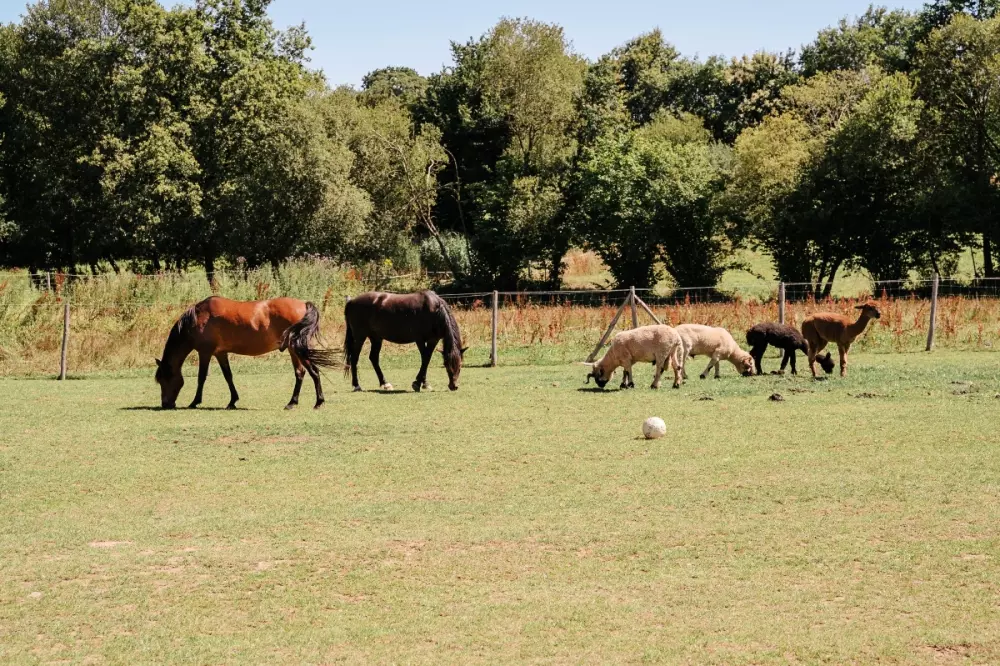 Camping Domaine de Kervallon 4 étoiles★★★★