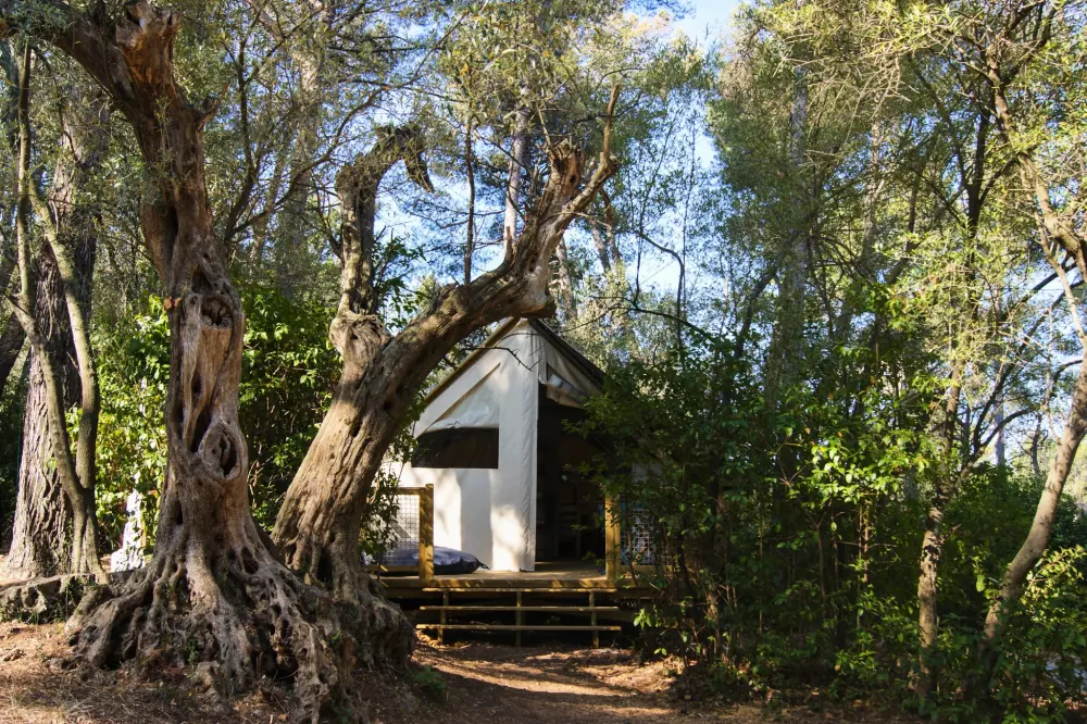 Camping Le BeauVezé 4 Sterren★★★★