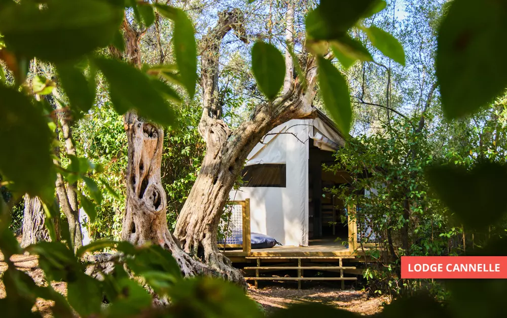 Camping Le BeauVezé 4 Sterren★★★★