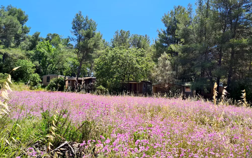 Camping Le BeauVezé 4 Sterren★★★★