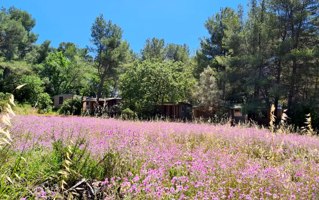 Campeggio Le BeauVezé 10 Stelle★★★★★★★★★★