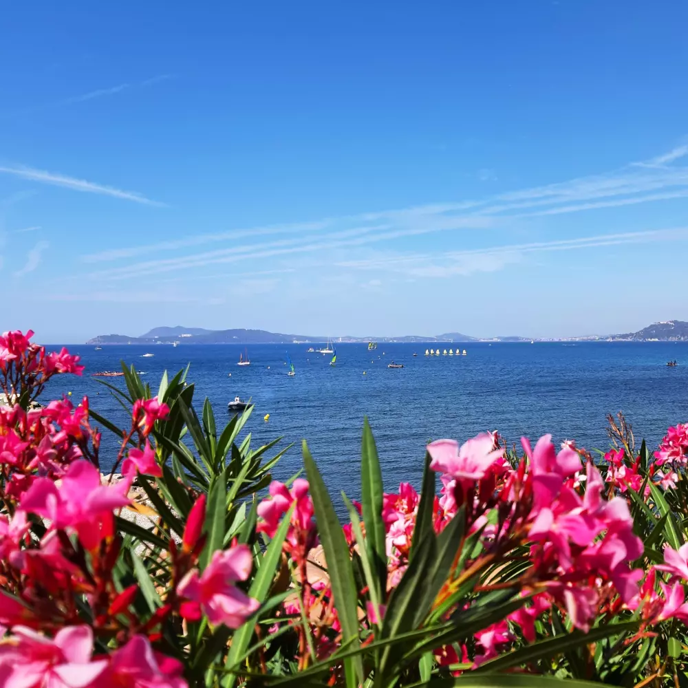 Camping Le BeauVezé 4 Sterren★★★★