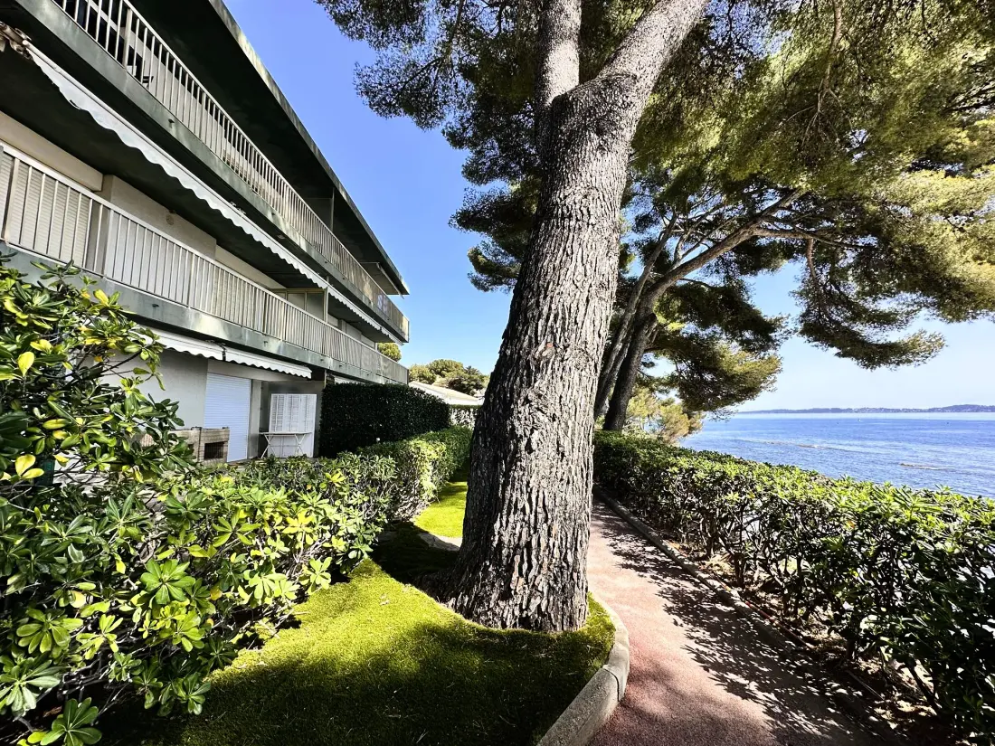 Eden Roc Residence