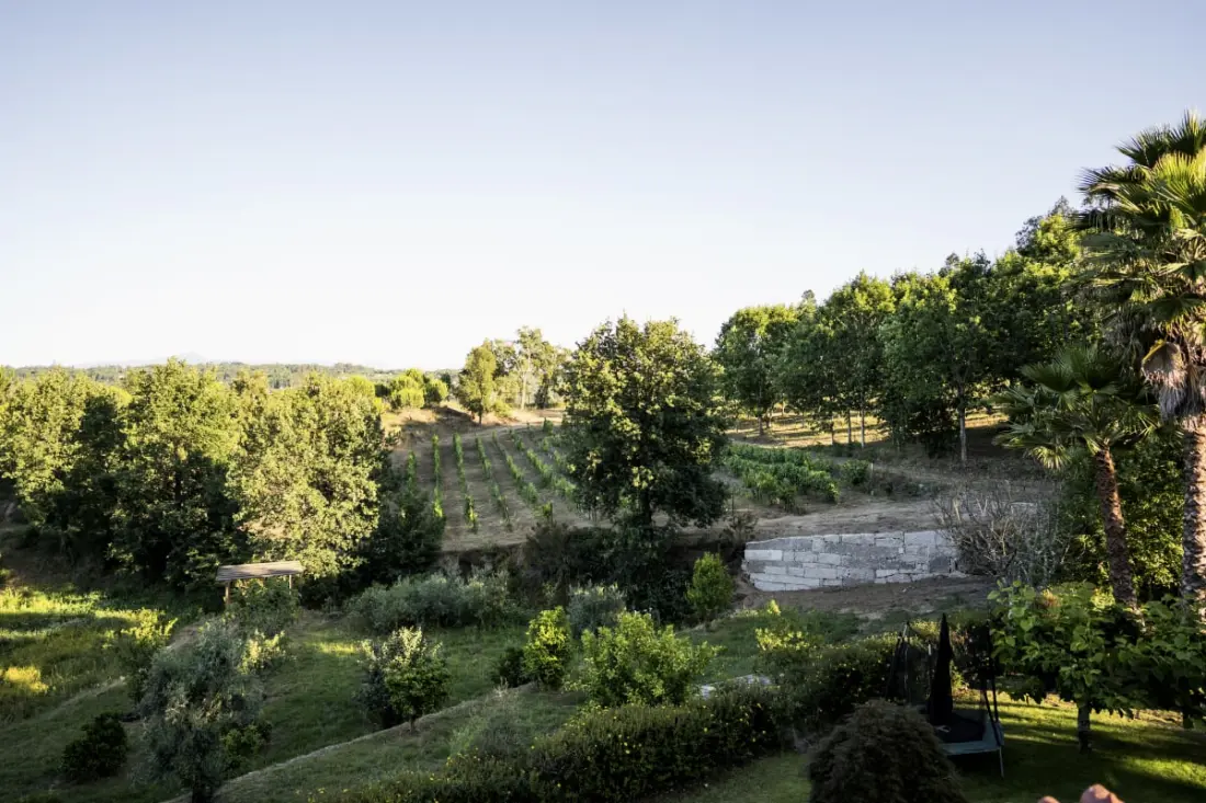 Quinta Tapada Do Vale - Retreat