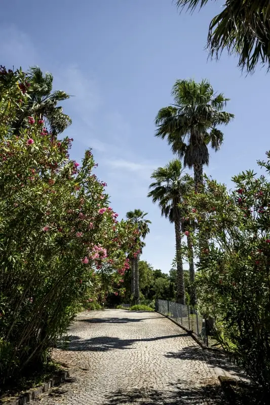 Quinta Tapada Do Vale - Retreat