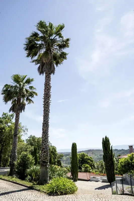 Quinta Tapada Do Vale - Retreat
