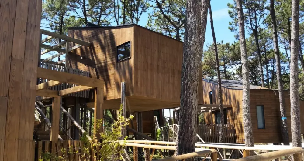 Bukubaki Útvonalterv