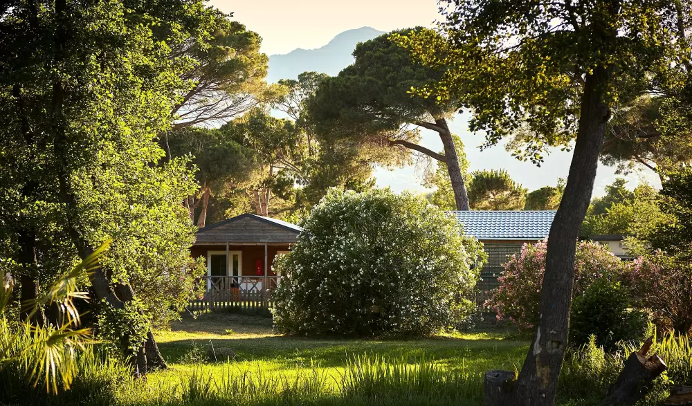 Campsite Domaine d'Anghione