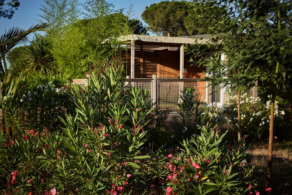 Campsite Domaine d'Anghione