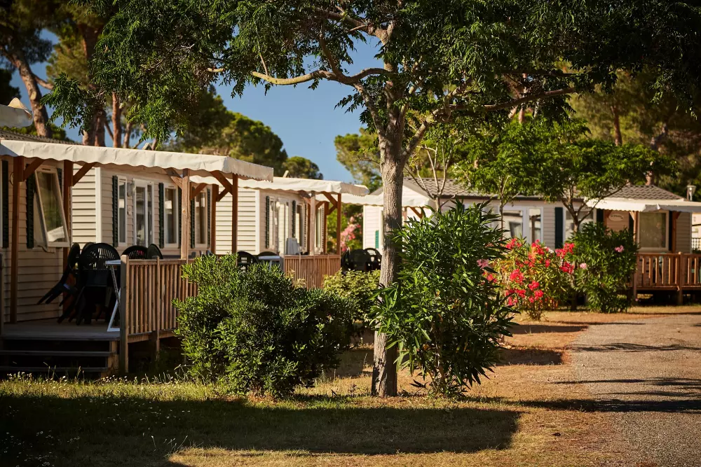 Campsite Domaine d'Anghione