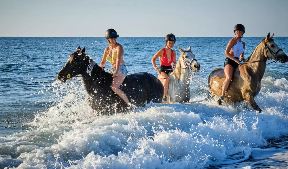 Campsite Domaine d'Anghione