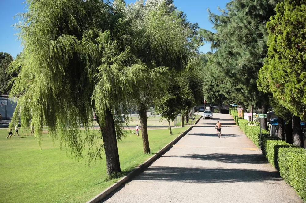 Lido Verbano Camping Village 3 Stars★★★