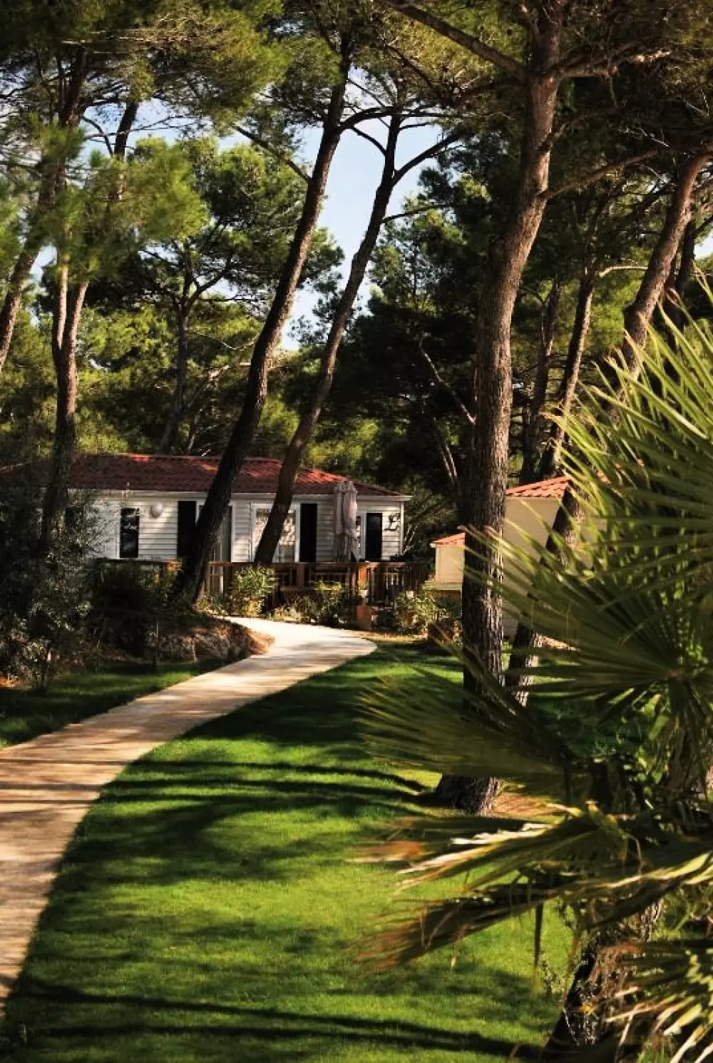 Camping Résidentiel La Pinède 4 étoiles★★★★