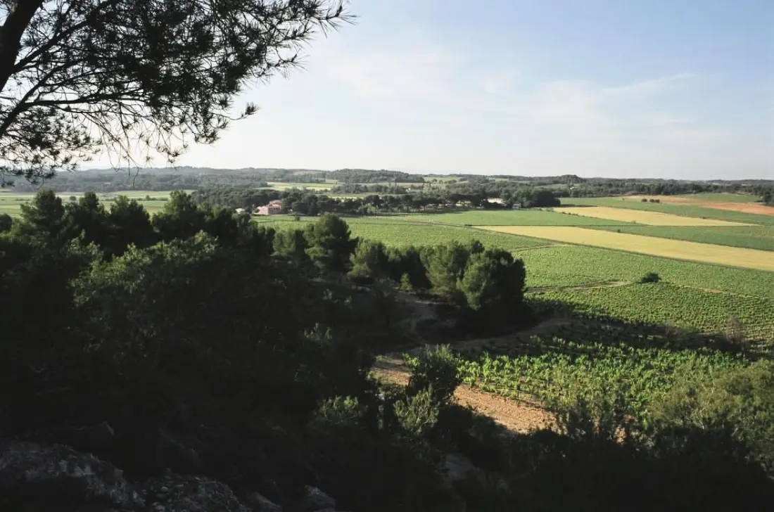 Camping Résidentiel La Pinède 4 étoiles★★★★