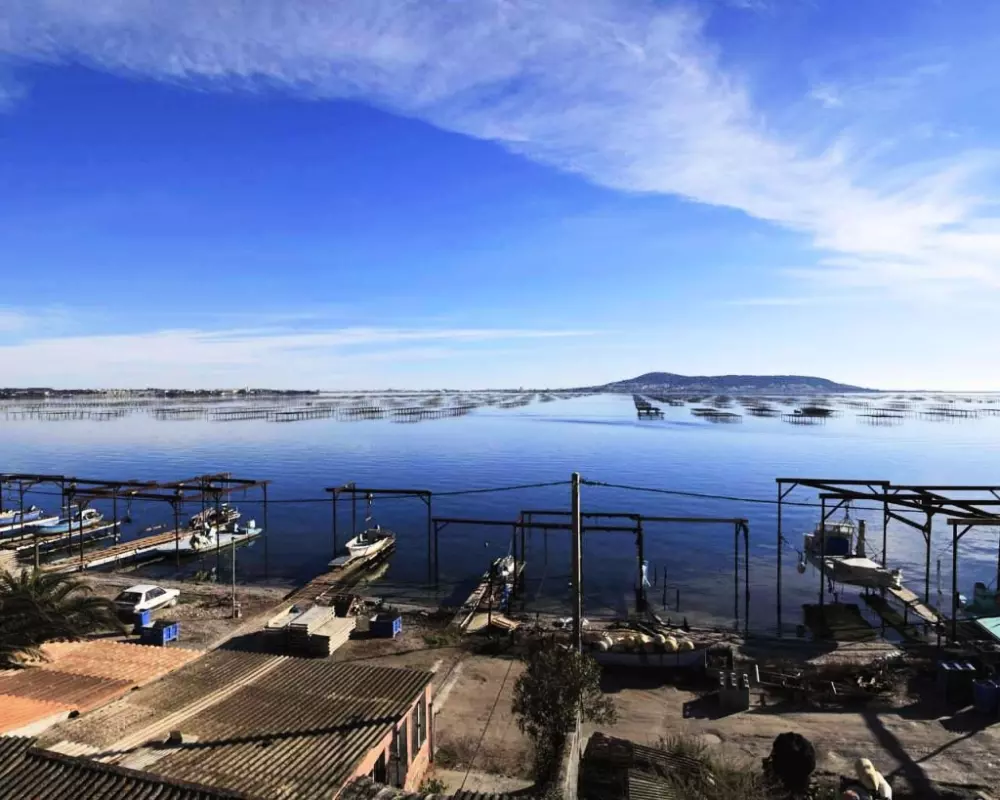 Camping Résidentiel La Pinède 4 étoiles★★★★