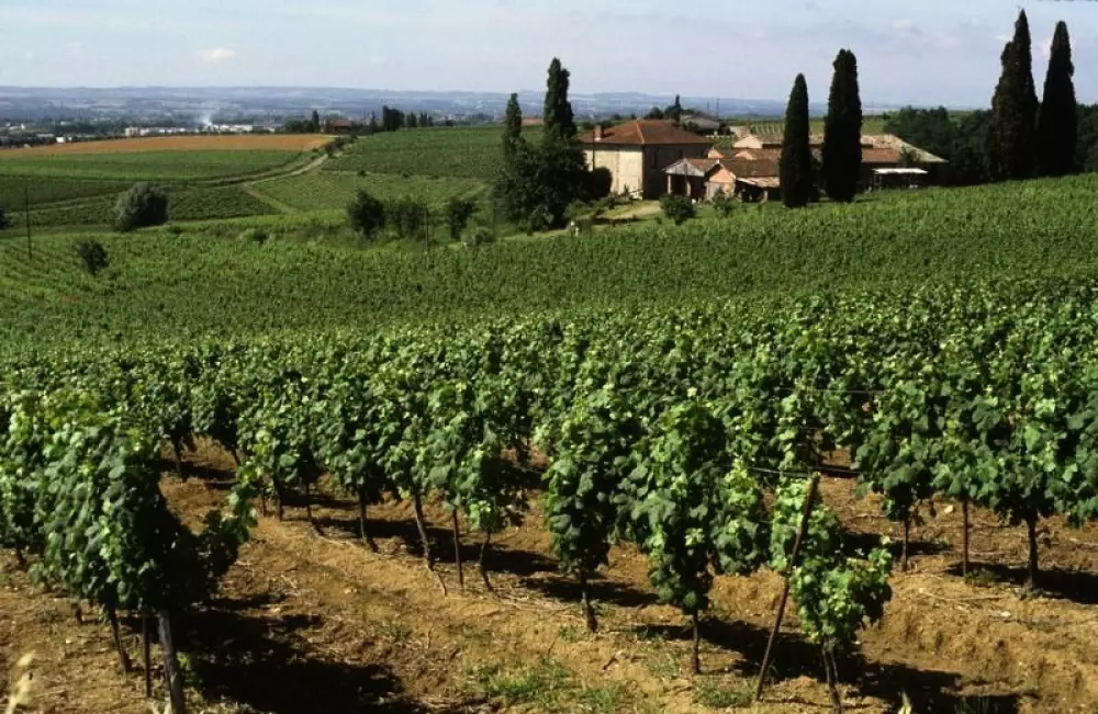 Camping du Chêne Vert 4 étoiles★★★★