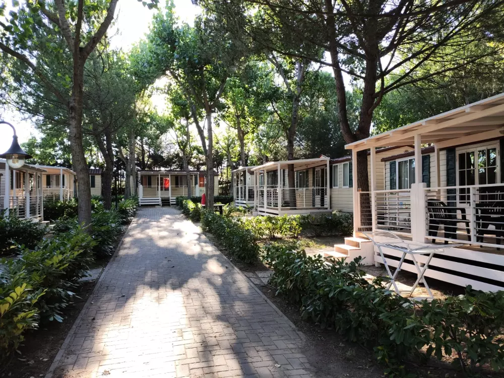 Camping Village Badiaccia 4 Sterren★★★★