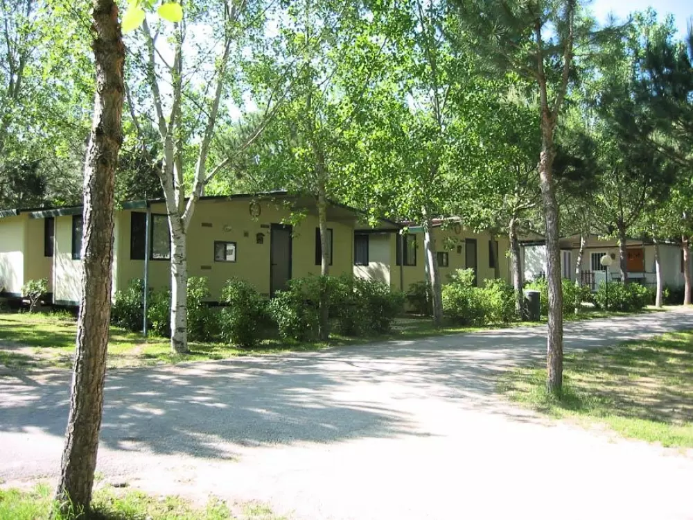 Camping Village Badiaccia 4 Sterren★★★★