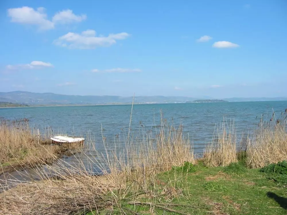 Camping Village Badiaccia 4 Sterren★★★★