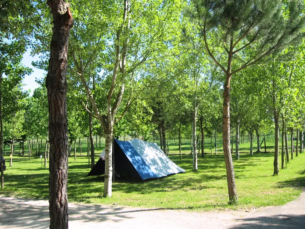 Camping Village Badiaccia 4 Sterren★★★★