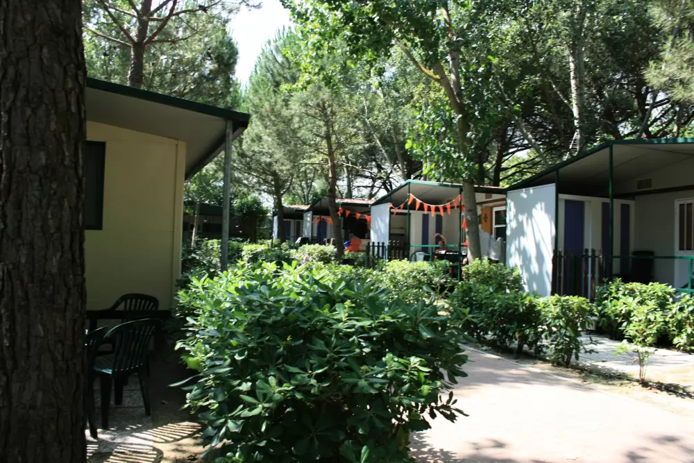 Camping Village Badiaccia 4 Sterren★★★★