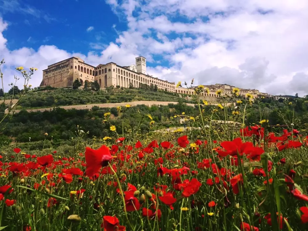 Camping Village Badiaccia 4 Sterren★★★★