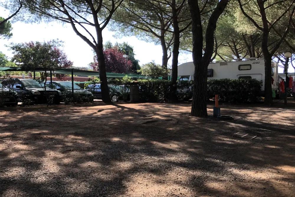 Klub del Sole Stella del Mare Rodzina kolekcji - Nie.