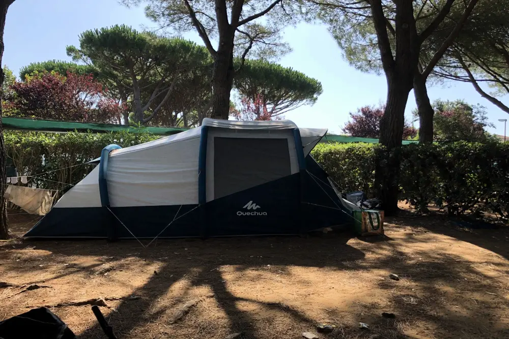 Klub del Sole Stella del Mare Rodzina kolekcji - Nie.